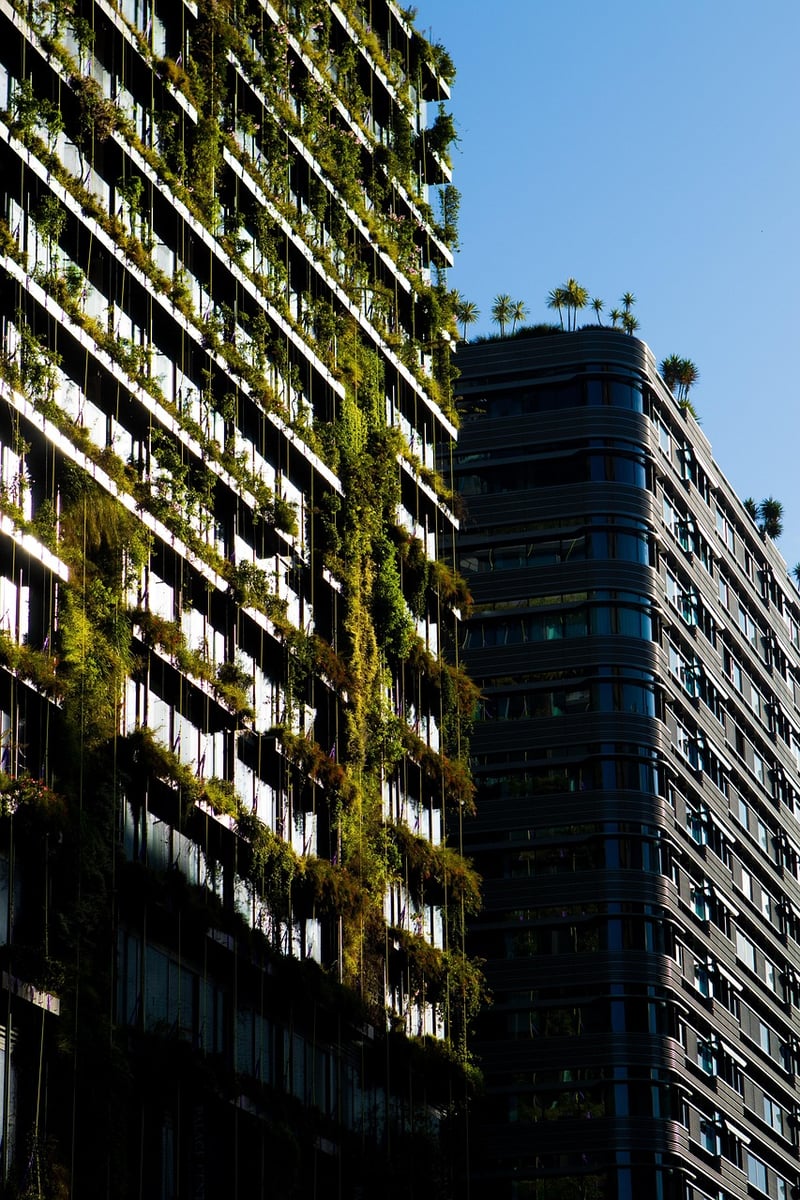 Hanging Garden